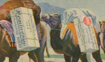close-up of camel carrying crates of ammo