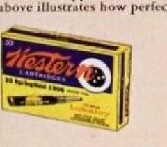 close-up western ammo box