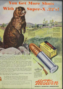 western 1936 varmit ammo ad