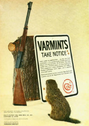 1963 varmit ad for colt rifle