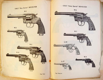 Colt_cuts_Matthew_Moss_article